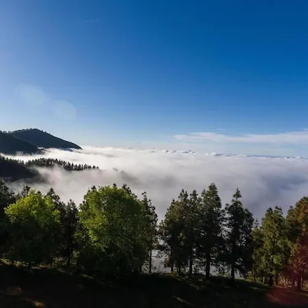 In Maspalomas Near The