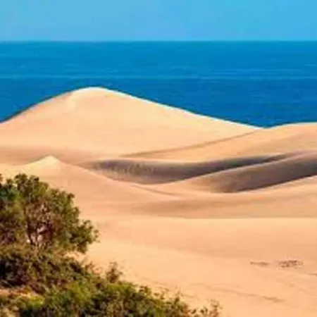In Maspalomas Near The Casa vacanze *