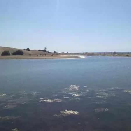 In Maspalomas Near The