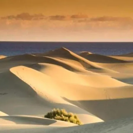 In Maspalomas Near The * San Bartolomé
